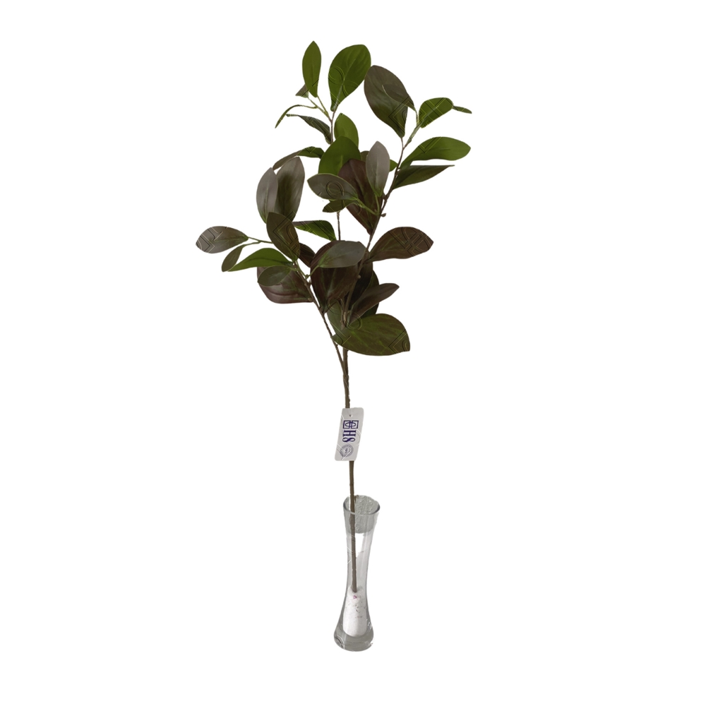 GALHO DE CLUSIA TOQUE NATURAL X 3 (M) 76CM (BOX POR COR)