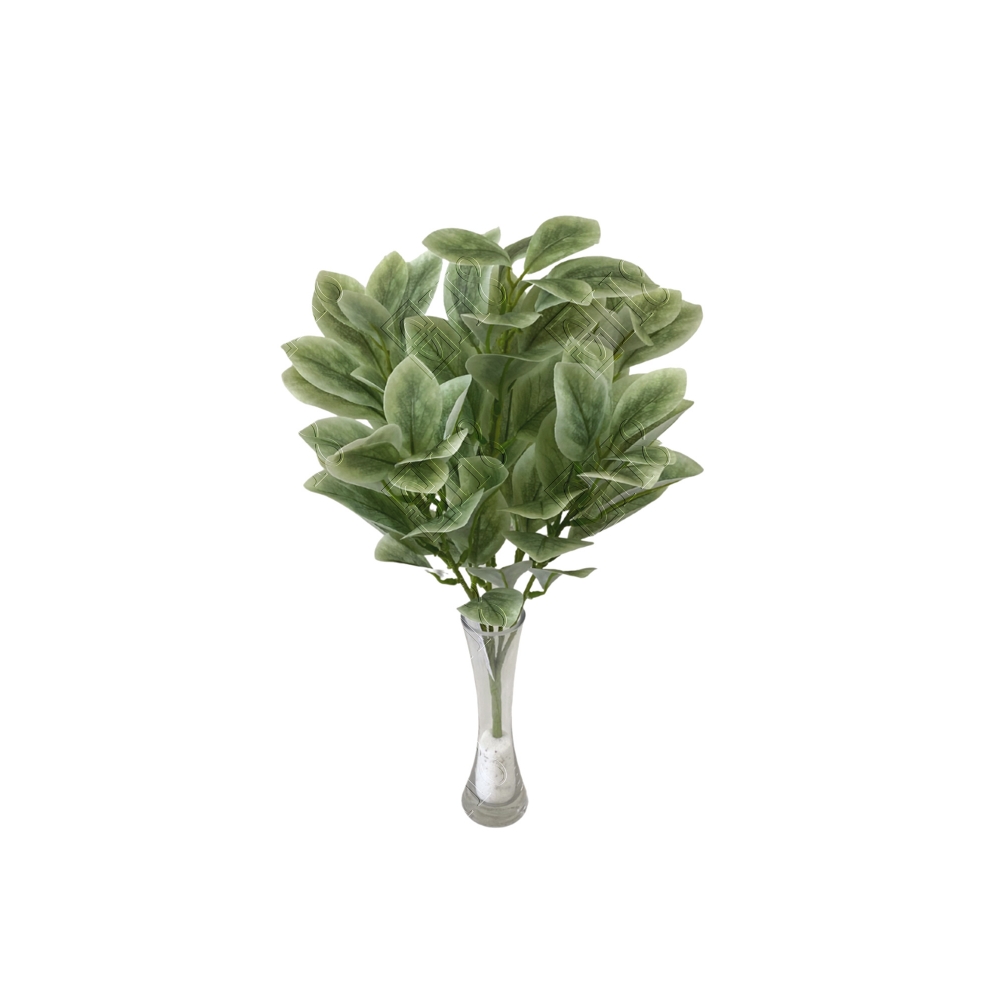 BUQUE DE CLUSIA TOQUE NATURAL X 5 (M) 49CM