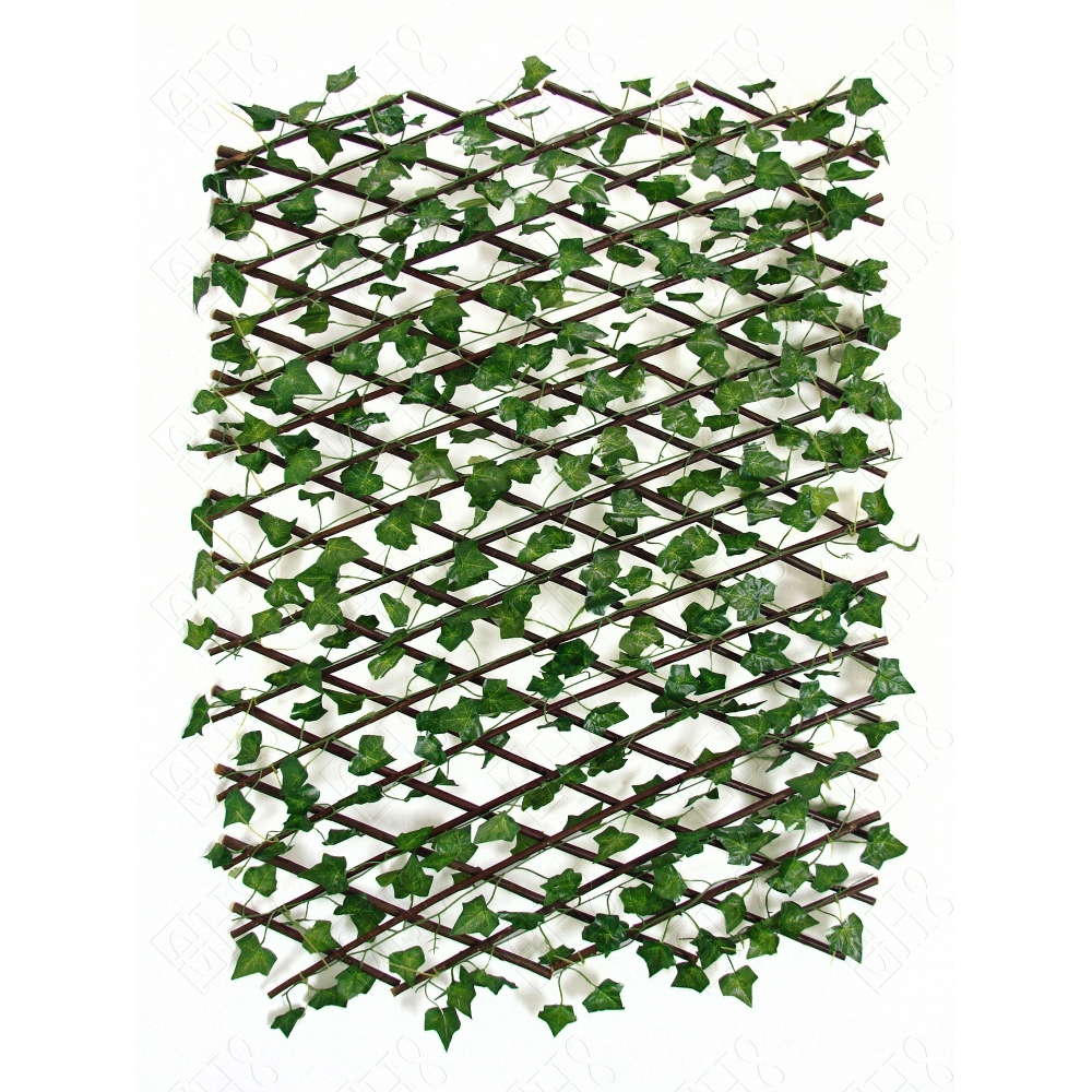 GRADIL DE FOLHAGEM DE HERA MEDIO X 17 (M) 170X47CM